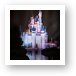 Cinderella's Castle Reflection Art Print