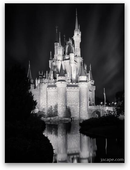 Cinderella's Castle Reflection Black and White Fine Art Metal Print