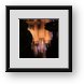 Buy Framed Print