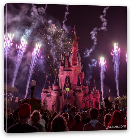 Cinderella's Castle with Fireworks Fine Art Canvas Print