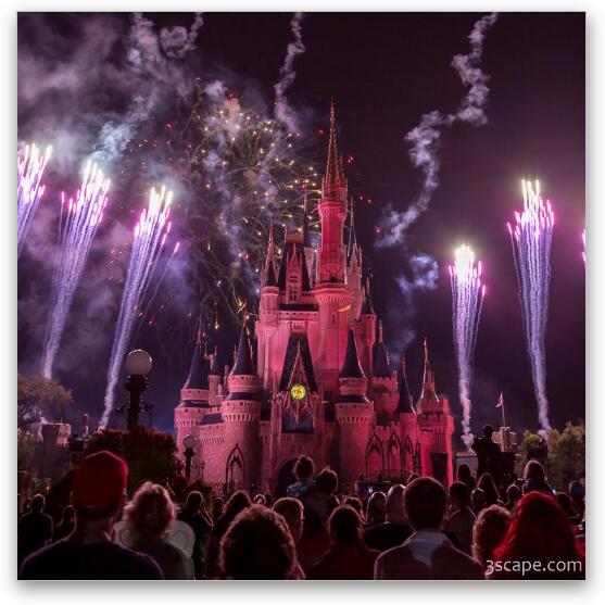 Cinderella's Castle with Fireworks Fine Art Metal Print