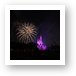 Disney Castle Fireworks and Light Show Art Print