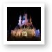 Cinderella's Castle at Night Art Print