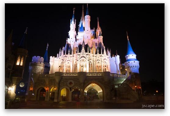 Cinderella's Castle at Night Fine Art Print