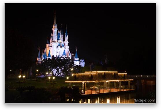 Cinderella's Castle at Night Fine Art Metal Print
