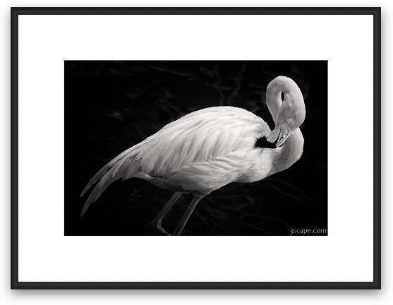 Black and White Flamingo Framed Fine Art Print