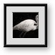 Buy Framed Print