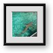 Buy Framed Print