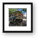 Ostrich Farm tour vehicle Framed Print