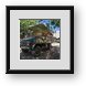 Buy Framed Print