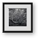 Buy Framed Print