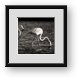 Buy Framed Print