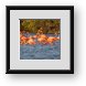 Buy Framed Print