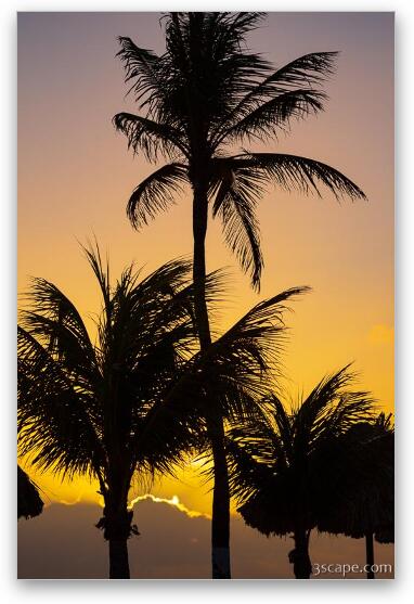 Curacao Sunset Fine Art Print