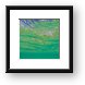 Great snorkeling at the Sunscape Resort Framed Print