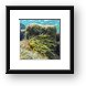 Buy Framed Print