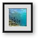 Buy Framed Print