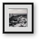 Buy Framed Print