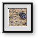 Buy Framed Print