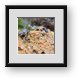 Buy Framed Print