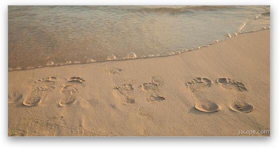 Footprints in the Sand Fine Art Metal Print