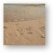Footprints in the Sand Metal Print