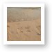 Footprints in the Sand Art Print