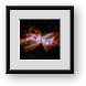 Buy Framed Print