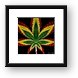 Rasta Marijuana Framed Print