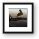 T-38 Talon and B-2 Spirit in Formation Framed Print