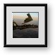 Buy Framed Print