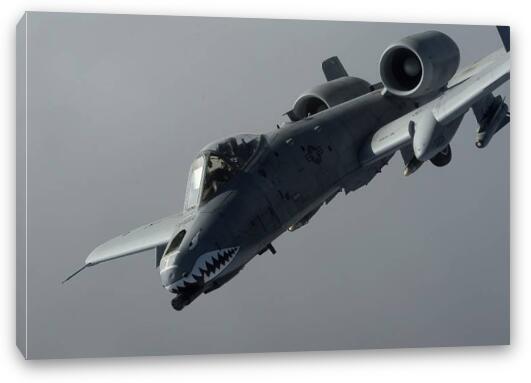 A-10 Thunderbolt II Fine Art Canvas Print