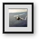 Buy Framed Print