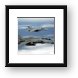 F/A-18 Hornet and F-14D Tomcat Framed Print