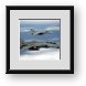 Buy Framed Print