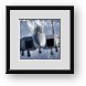 Buy Framed Print