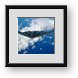 Buy Framed Print