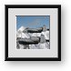 Buy Framed Print