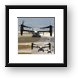 CV-22 Ospreys taking off Framed Print