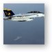 F/A-18F Super Hornet over Persian Gulf Metal Print