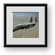 Buy Framed Print