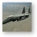F-15E Strike eagle Metal Print
