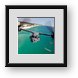 Buy Framed Print