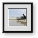 Buy Framed Print