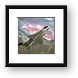 F-22 Raptor Framed Print