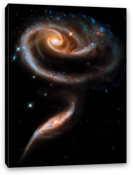 Galactic Rose Fine Art Canvas Print