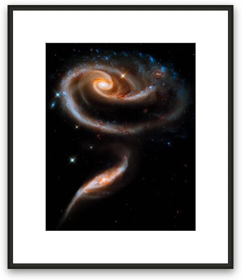 Galactic Rose Framed Fine Art Print