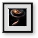 Buy Framed Print