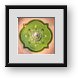 Buy Framed Print