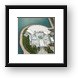 Shedd Aquarium Framed Print